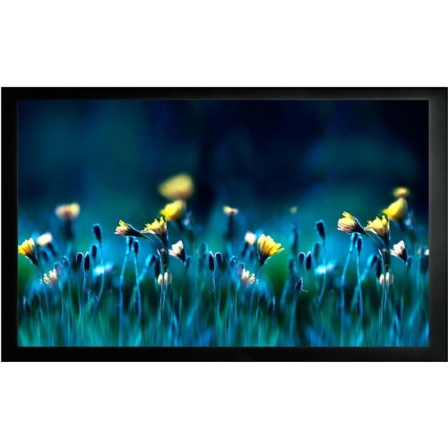 CACTUS Экран на раме 113x200см FrameExpert CS-PSFRE-200X113 16:9 настенный натяжной