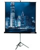 LUMIEN Экран Master View LMV-100108, 244х183 см, 4:3, напольный черный