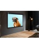 CACTUS Экран 183x244см Wallscreen CS-PSW-183X244-BK 4:3 настенно-потолочный рулонный черный