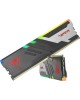 PATRIOT Модуль памяти DIMM DDR5-5600 32GB (16GBx2) RGB PVVR532G560C36K