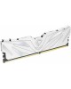 NETAC Модуль памяти DIMM 16GB DDR5-4800 NTSWD5P48SP-16W NETAC Модуль памяти DIMM 16GB DDR5-4800 NTSWD5P48SP-16W