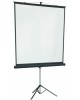 LUMIEN Экран Master View LMV-100108, 244х183 см, 4:3, напольный черный