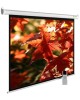 CACTUS Экран 150x200см SIlverMotoExpert CS-PSSME-200X150-DG 4:3 настенно-потолочный рулонный темно-серый (моторизованный привод)