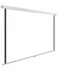 CACTUS Экран 220x220см WallExpert CS-PSWE-220x220-WT 1:1 настенно-потолочный рулонный