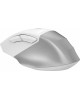 A4TECH Мышь беспроводная Fstyler FB45CS Air, Bluetooth/Радио, оптическая, USB, 2000dpi, белый [fb45cs air usb (silver white)]