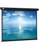 CACTUS Экран Wallscreen CS-PSW-213x213, 213х213 см, 1:1, настенно-потолочный белый
