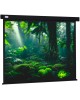 CACTUS Экран Wallscreen CS-PSW-213x213, 213х213 см, 1:1, настенно-потолочный белый