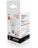GAUSS Упаковка ламп LED E27, груша, 10Вт, 10 шт. [23210]