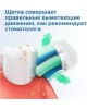 PHILIPS Набор электрических зубных щеток Sonicare ProtectiveClean HX6800/35 черный/розовый