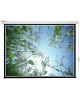LUMIEN Экран 229x305см Eco Control LEC-100108 4:3 настенно-потолочный рулонный белый (моторизованный привод)