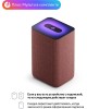 Колонка ЯНДЕКС YNDX-00051C Станция 2 30Вт, с голосовым помощником Алиса, медный