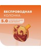 Акустика MORE CHOICE (4610196400858) BS12 Orange