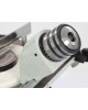 Станок заточной BELMASH GC-650