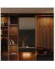 YEELIGHT Беспроводной светильник с датчиком движения Motion Sensor Closet Light A20（Black）2700k / YLCG002