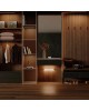 YEELIGHT Беспроводной светильник с датчиком движения Motion Sensor Closet Light A20（Black）2700k / YLCG002