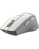 Беспроводная мышь A4TECH Fstyler FG35 серебристый/белый