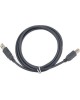 Gembird CCP-USB2-AMBM-6G