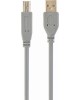 Gembird CCP-USB2-AMBM-6G