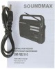 SOUNDMAX SM-RD2110(темно-серый)