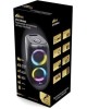 Мидисистема RITMIX SP-875B black
