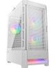 Cougar Airface_RGB_White
