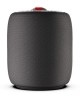 Колонка портативная MONSTER SUPERSTAR s110 (MS11901) чёрная