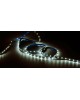 LAMPER Лента светодиодная 24В, SMD2835, 19,2Вт/м, 240 LED/м, 3000К, 15мм, 5м, IP20