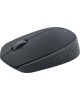 LOGITECH Мышь беспроводная M171, радио, оптическая, USB, 1000dpi, черный и серый [910-004643]