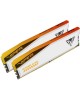 PATRIOT Модуль памяти DIMM DDR5-6000 48GB (24GBx2) RGB PVER548G60C36KT