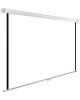 CACTUS Экран WallExpert CS-PSWE-240x180-WT, 240х180 см, 4:3, настенно-потолочный
