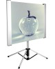 CACTUS Экран 102x180см TriAlExpert CS-PSTALE-180X102 16:9 напольный рулонный