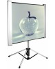 CACTUS Экран 102x180см TriAlExpert CS-PSTALE-180X102 16:9 напольный рулонный
