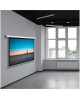 CACTUS Экран SIlverMotoExpert CS-PSSME-220X138-WT, 220х138 см, 16:10, настенно-потолочный белый