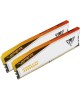 PATRIOT Модуль памяти DIMM DDR5-6600 48GB (24GBx2) RGB PVER548G66C34KT