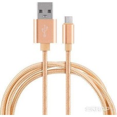 ENERGY Кабель ET-28 USB/Type-C, золотой