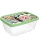 Контейнер HOMVER Botanica для продуктов прямоугольный 1,5л с декором (зеленый) 222132218/08