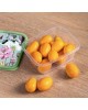 Контейнер HOMVER Botanica для продуктов прямоугольный 1,5л с декором (зеленый) 222132218/08