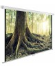 CACTUS Экран WallExpert CS-PSWE-200x200-WT, 200х200 см, 1:1, настенно-потолочный
