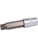 AVS TOOLS Головка со вставкой 1/2