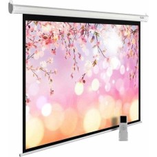 CACTUS Экран 220x220см MotoExpert CS-PSME-220x220-WT 1:1 настенно-потолочный рулонный белый (моторизованный привод)