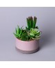 Искусственные цветы LEFARD 535-402 СУККУЛЕНТ В ГОРШКЕ 16*17см Искусственные цветы LEFARD 535-402 СУККУЛЕНТ В ГОРШКЕ 16*17см