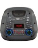 Мидисистема ELTRONIC (20-59) FIRE BOX 500 - колонка 08