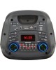 Мидисистема ELTRONIC (20-59) FIRE BOX 500 - колонка 08