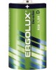 Элементы питания ERGOLUX (12442) R20SR2