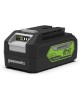 GREENWORKS Цепная пила GD24CS30K4, аккумуляторная, 24В, 4Ач, с одним аккумулятором [2007007ub]