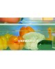 Холодильник BEKO B3R0CNK312HG