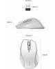 UGREEN Мышка компьютерная беспроводная MU101 (15805) Ergonomic Contoured-Shape Design Wireless Mouse 2.4 GHz&B. Цвет: бело-серый