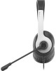 A4TECH Наушники с микрофоном Fstyler FH100U белый/черный 2м накладные USB оголовье (FH100U (PANDA))