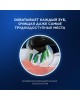 ORAL-B Электрическая зубная щетка Vitality Pro 80813151 насадки для щётки: 2шт, цвет:черный