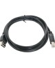 Gembird CCF-USB2-AMBM-6